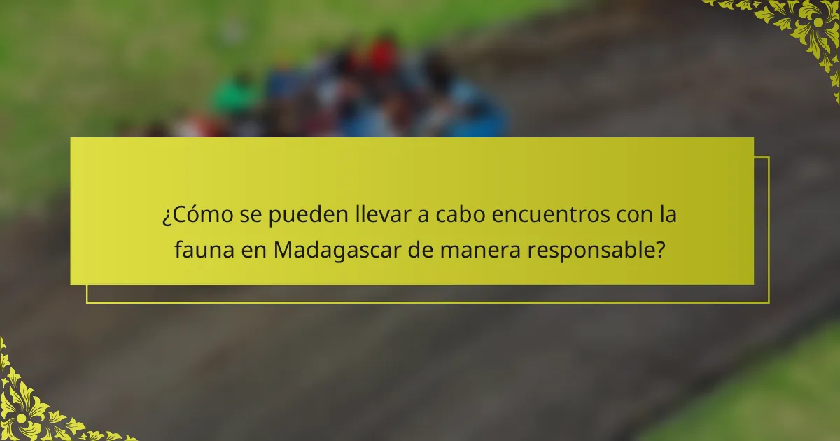 ¿Cómo se pueden llevar a cabo encuentros con la fauna en Madagascar de manera responsable?